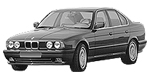 BMW E34 P0AA0 Fault Code